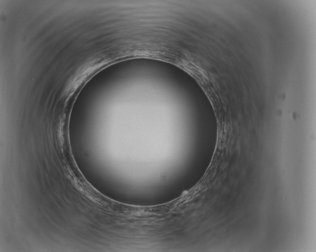 X0000085830098200703301629