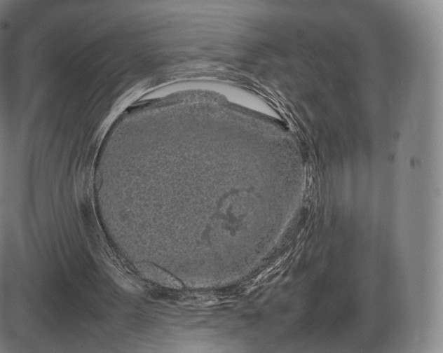 X0000085830099200703301629