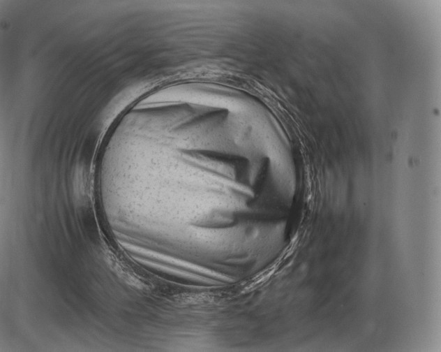 X0000085830100200703301629