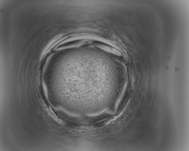 X0000085830101200703301629