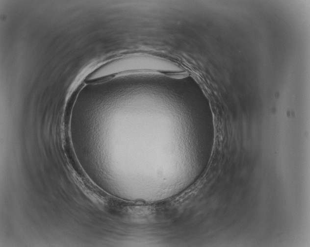 X0000085830102200703301629