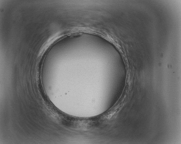 X0000085830103200703301629