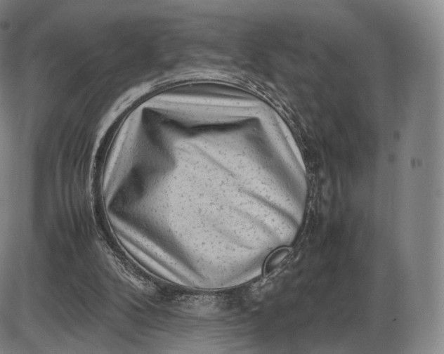 X0000085830104200703301629