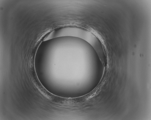 X0000085830105200703301629