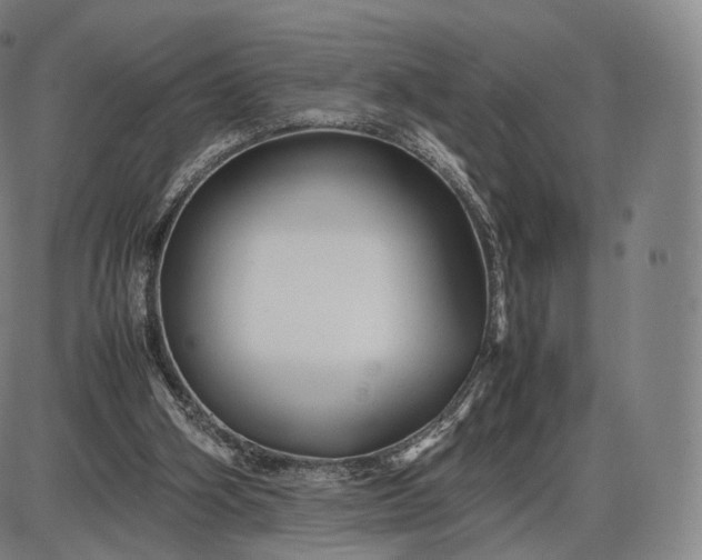 X0000085830106200703301629