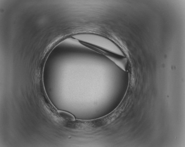 X0000085830107200703301629