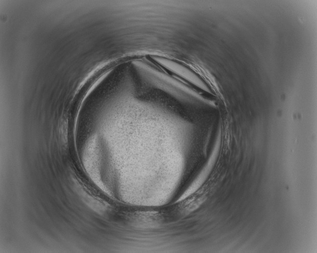 X0000085830108200703301629