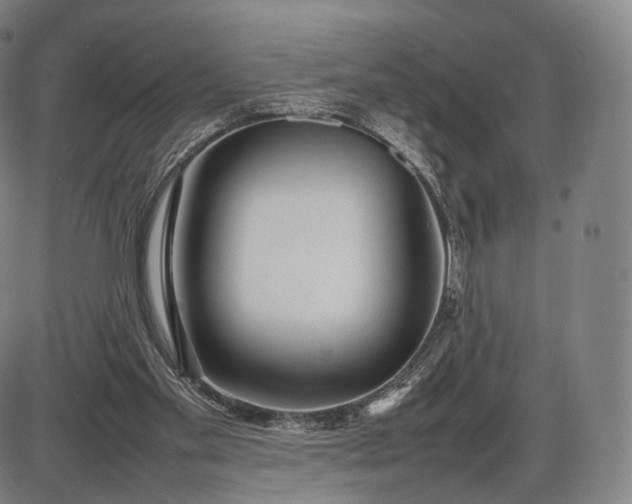 X0000085830109200703301629