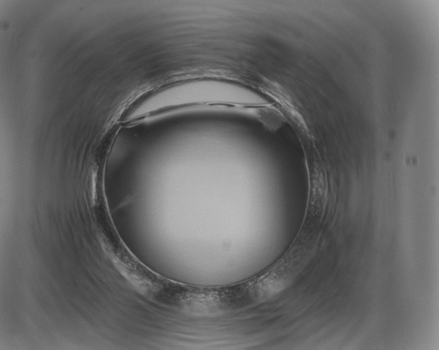 X0000085830110200703301629