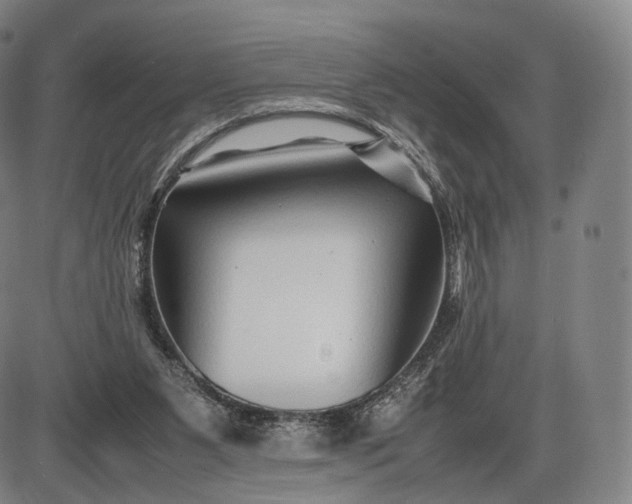 X0000085830111200703301629