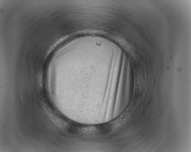 X0000085830112200703301629