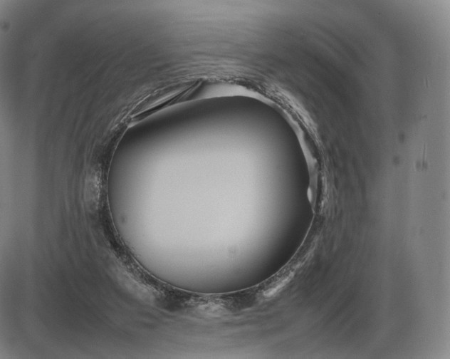 X0000085830113200703301629