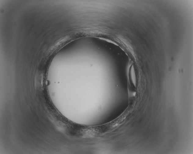 X0000085830115200703301629