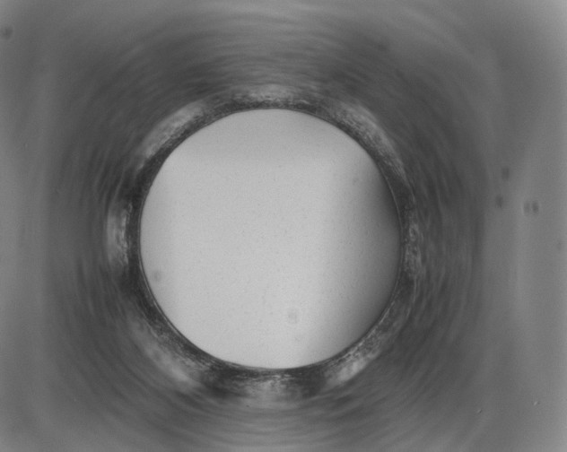 X0000085830116200703301629