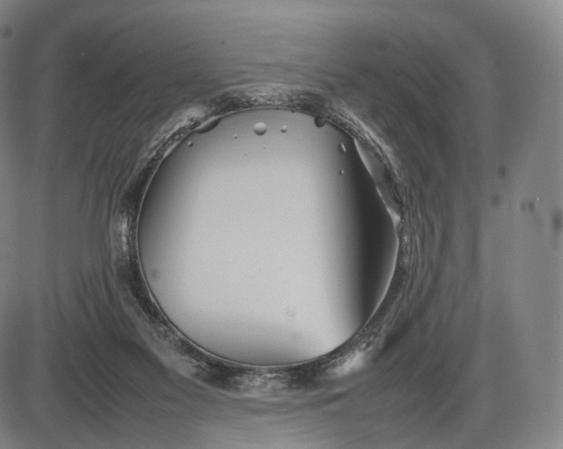 X0000085830117200703301629