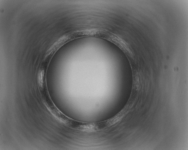 X0000085830118200703301629