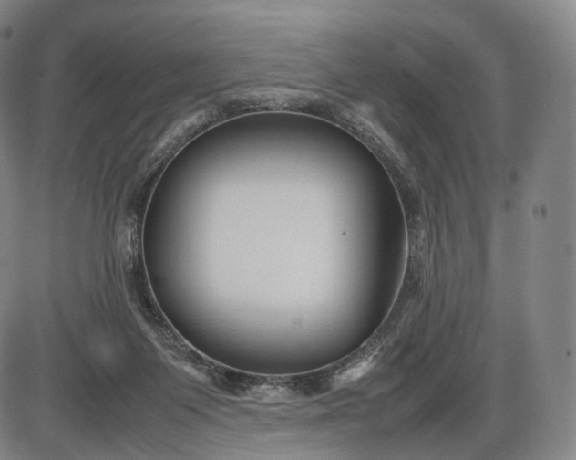 X0000085830119200703301629