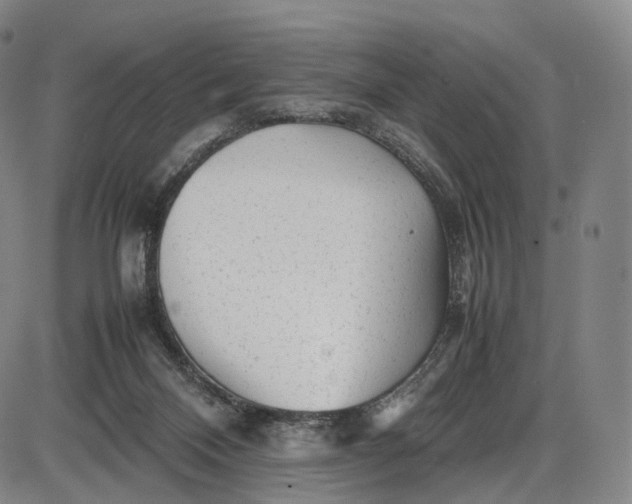 X0000085830120200703301629