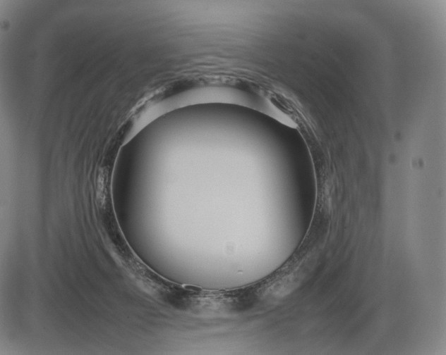 X0000085830121200703301629