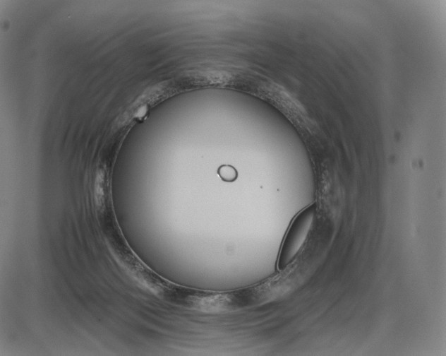 X0000085830122200703301629