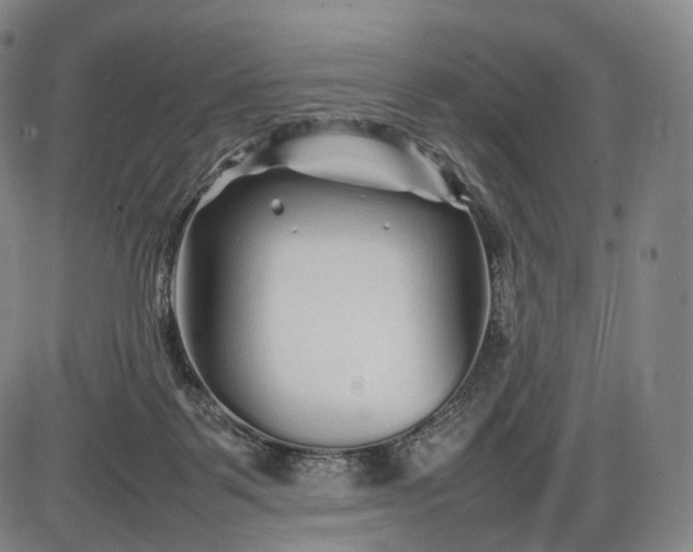 X0000085830123200703301629