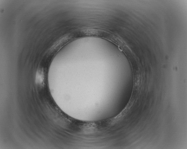 X0000085830124200703301629