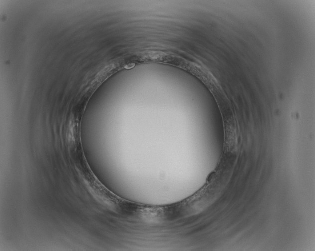 X0000085830126200703301629