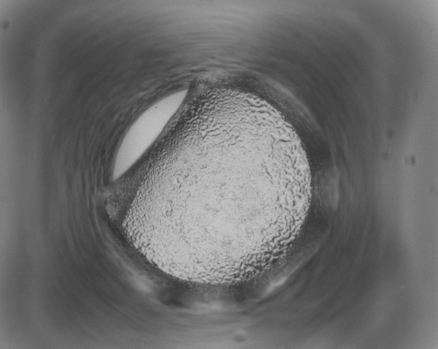 X0000085830127200703301629