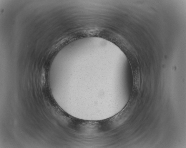 X0000085830128200703301629