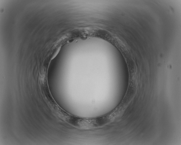 X0000085830129200703301629