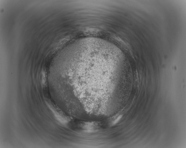 X0000085830130200703301629