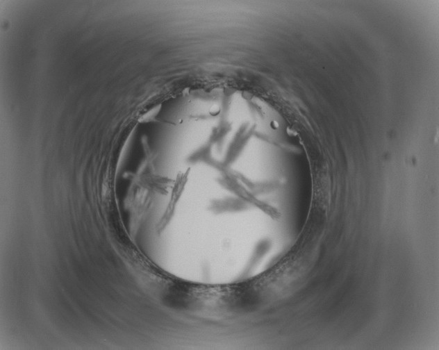 X0000085830131200703301629