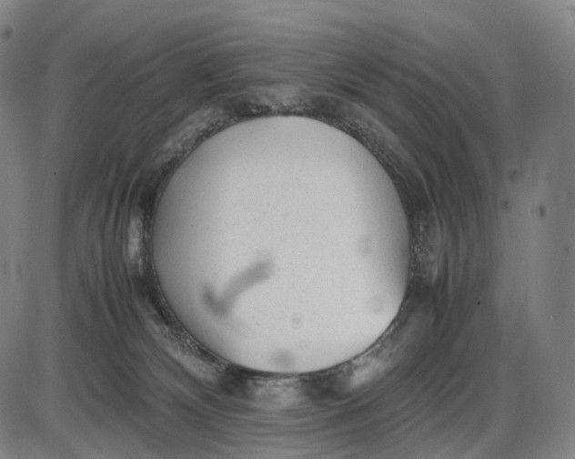 X0000085830132200703301629