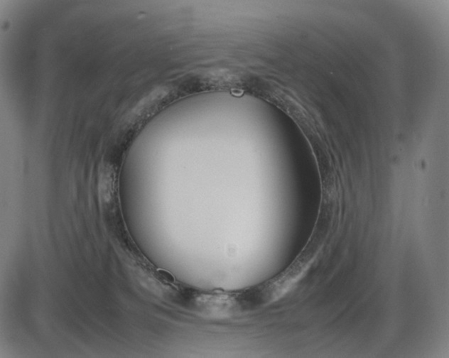 X0000085830133200703301629