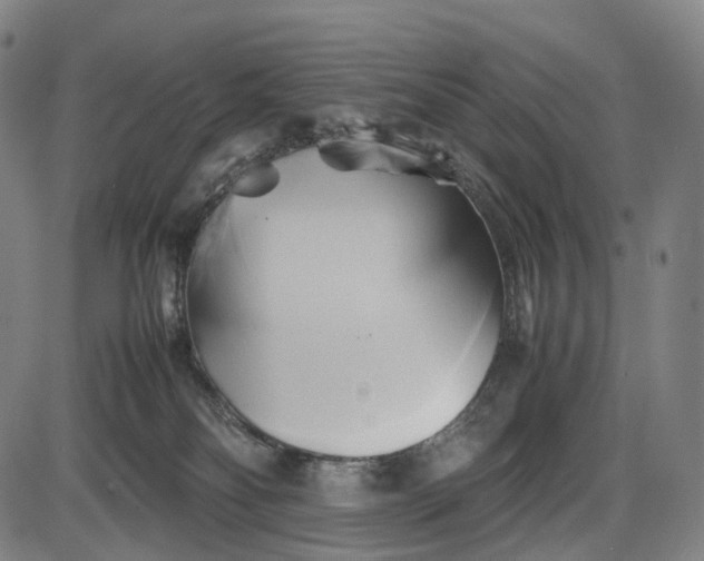 X0000085830134200703301629