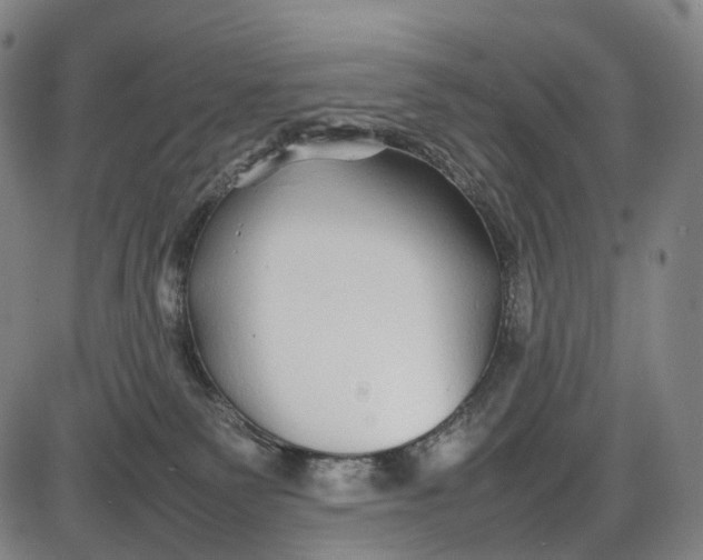 X0000085830135200703301629