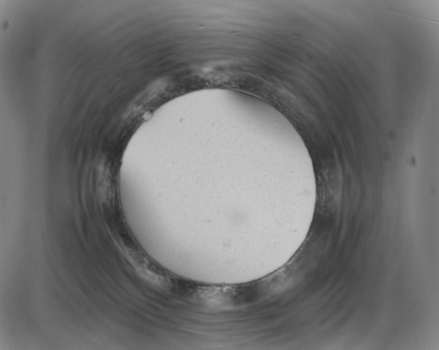 X0000085830136200703301629