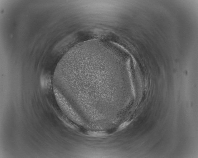 X0000085830137200703301629