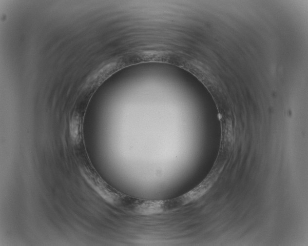 X0000085830138200703301629