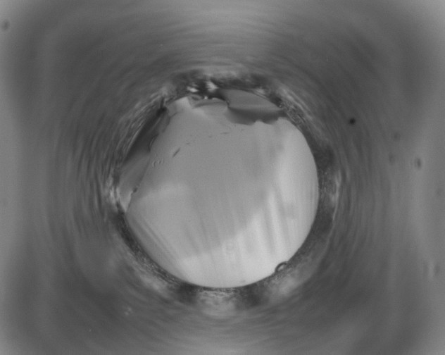 X0000085830139200703301629