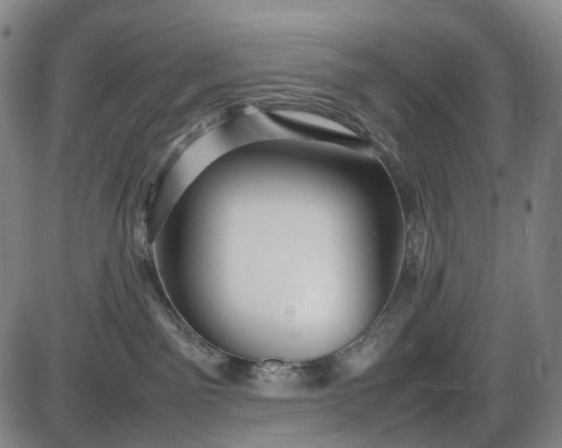 X0000085830141200703301629