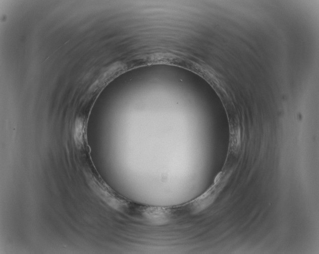 X0000085830142200703301629