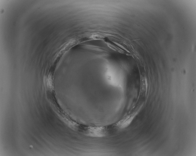 X0000085830143200703301629