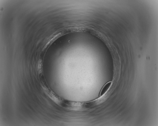 X0000085830144200703301629