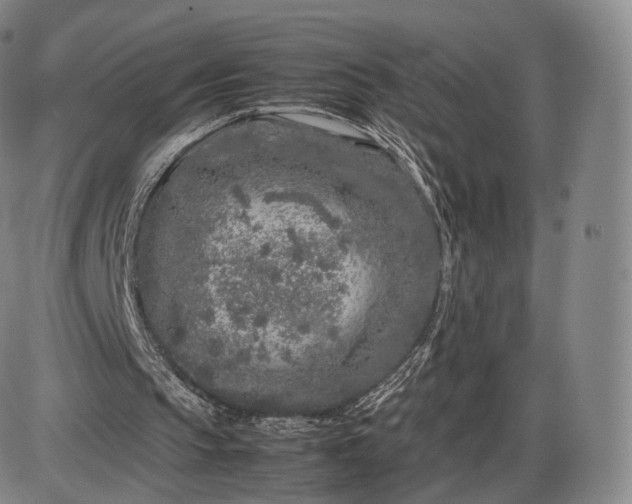 X0000085830145200703301628