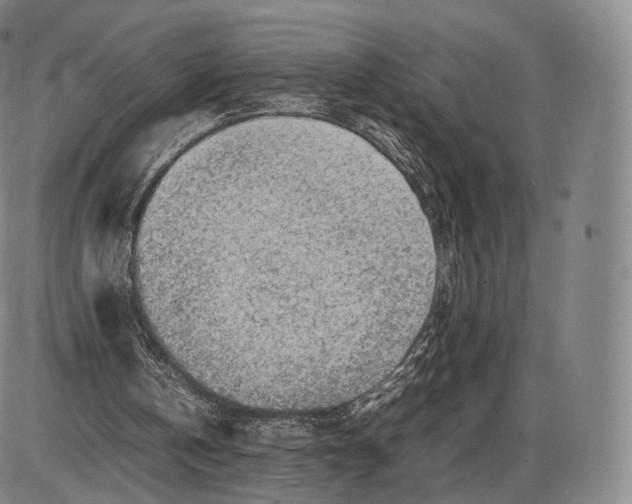 X0000085830146200703301628