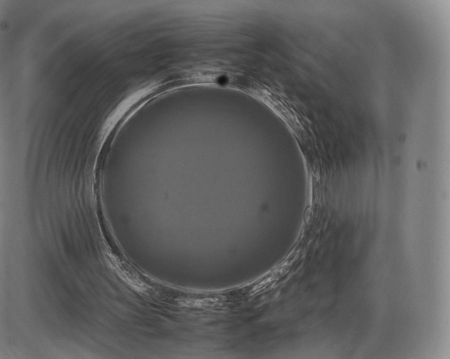 X0000085830147200703301628