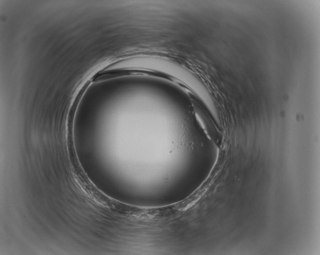 X0000085830148200703301628