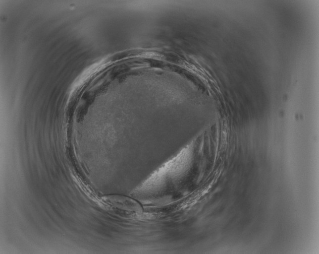 X0000085830149200703301628