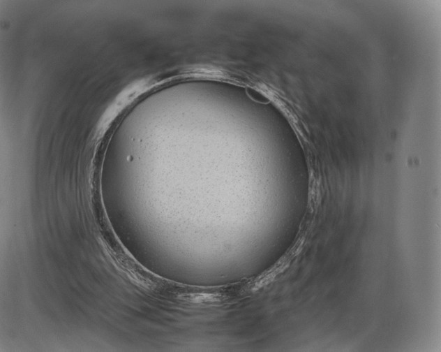 X0000085830151200703301628